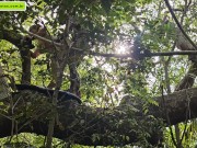 strange to help me go upstairs so I can give him a blowjob 7/16