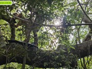 strange to help me go upstairs so I can give him a blowjob