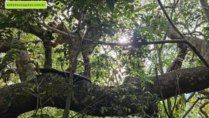 strange to help me go upstairs so I can give him a blowjob