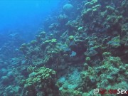 SCUBA Sex in a Miniskirt by a Beautiful Coral Reef 1/16