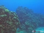 SCUBA Sex in a Miniskirt by a Beautiful Coral Reef 13/16