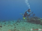 SCUBA Sex in a Miniskirt by a Beautiful Coral Reef 15/16