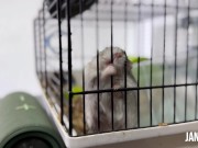 BLOQUEADA!! Mi amiga me calienta en la transmisión 3/16