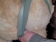 Cumming on my Teddy Bears ass 12/16
