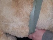 Cumming on my Teddy Bears ass 13/16