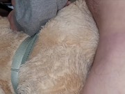 Cumming on my Teddy Bears ass 2/16