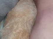 Cumming on my Teddy Bears ass