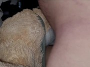 Cumming on my Teddy Bears ass 8/16
