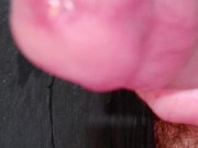 Daddy lets you use Big White Cock to Cum ! Then Bends You Over and Creampies your tight juicy Pussy 16/16