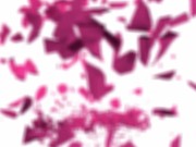 GIRLSRIMMING - Vicky’s Rimjob Mania 6/16