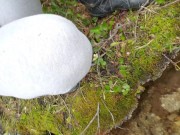 Pee with me Two 2/16