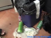 young mistress 15/16