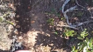 hot cop piss , & jerk off and talk dirty untill cum
