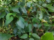 🇨🇴 Horny Travelers Go To Colombia 🇨🇴 16/16