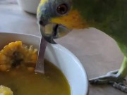 🇨🇴 Horny Travelers Go To Colombia 🇨🇴 4/16