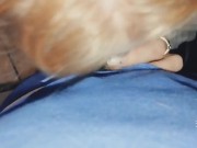 Netflix and chill the way it was meant to be (blowjob) 3/16