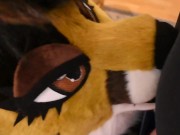 Furry Blowjob