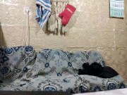 A little entertainment 16/16