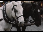 Super horny teen Vanessa pussy slurping 12/16