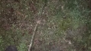 Morning pissing (sorry I haven't been posting)