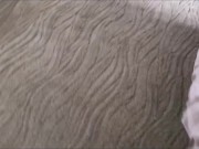 English Step Sister Moves Into Your Room - Frances Bentley - Family Therapy - Alex Adams 3/16