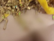 夢にまで見た「サルサ衣装」に身を纏った美女との情事 14/16