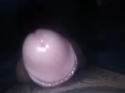 Ay papi lento que me duele la primera vez, multipliques orgasmos😈🤤 11/16