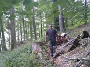 Slut wife in Bunny mask dehumanized herself outdoors 1/16