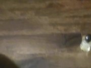 Long stroke - Screenshot 16 of 16 - HD