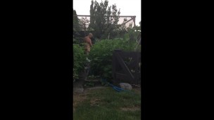 The naked gardener