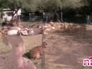 Lesbian Nina Tease Outdoor 14/16