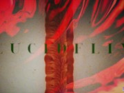 LUCIDFLIX Gorgeous exotic dancer Vanna Bardot fucks one of her lucky club patrons 1/16