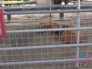 POV date with pornstar Zory Jpeg touching her hairy pussy and peeing outdoors 3/16