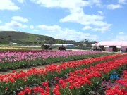 POV date with pornstar Zory Jpeg touching her hairy pussy and peeing outdoors 8/16