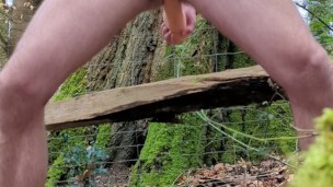 Milking my prostate in the forest