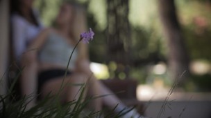 AllHerLuv - Covet Pt. 2 - Teaser