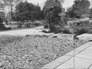 Lace Socks Teasing Outdoors (Vintage) 9/16