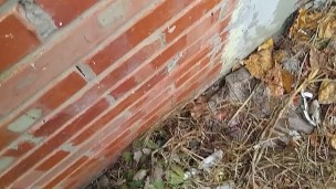 Cop sneaky piss, Jack off and dirty talk to women & cum