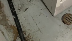 Pissing by the dryer