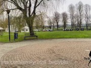 SLUTS IN THE PARK MASTURBATE WITH A DILDO 10/16