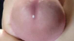 Close up jakol