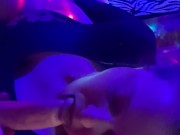 Easter head - Screenshot 12 of 16 - Cock Sucking