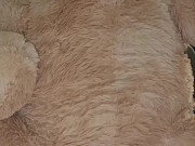 Teddy Bear Garage Fuck 5/16