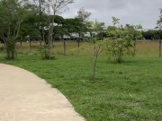 Reencuentro con Thalía Restrepo termina en una rica follada hardcore en público con semen en su boca 2/16