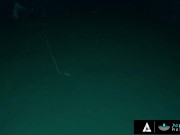 NURU MASSAGE - Naughty Girlfriend Kylie Rocket Does Something Extra Special For Her Boyfriend 7/16