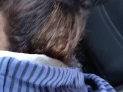 Horny hitchhiker give a head for ride