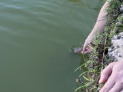 Naked House Tour and Feeding the Pond Fish and Turtle - Cory Chase and Amiee Cambridge 11/16