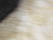 Doggy style action from the queen of porn hub! Caming too! High as fuc! 🤩🎉💯👺👹🍯🤫 10/16