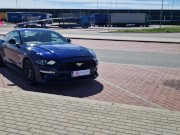 Dałam się wyruchać nieznajomemu na autostradowym parkingu. Lodz 3/16