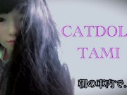 Tamitrain - Screenshot 1 of 16 - HD